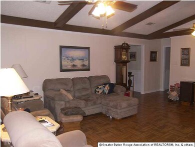 Den view 2
