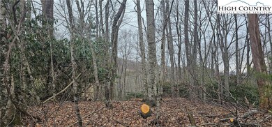 Lot 3 Raven Rock Dr, Boone, NC 28607 - photo 5