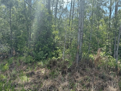 0 Holopaw Groves Rd unit F10536884, Saint Cloud, FL 34772 - photo 2