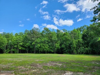 447 Chapman Rd, Macon, GA 31211 - photo 6