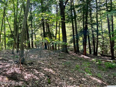 23 Woodpecker Ct unit F-90B, Coxsackie, NY 12051 - photo 7