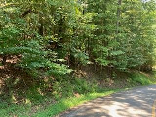 Lt 914 Villa Dr, Ellijay, GA 30540 - photo 2