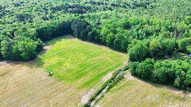 dji_fly_20240309_033218_619_171319308997