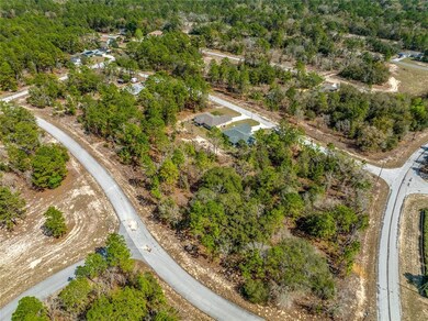 10725 N Moreno Dr, Citrus Springs, FL 34433 - photo 3