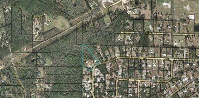 4120 Deer Trail, Middleburg, FL 32068 - photo 2