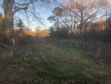 TBD Integrity Rd Lot #13, McComb, MS 39648 - photo 4