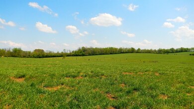 1627 Kidds Mill Rd E, Versailles, KY 40383 - photo 5