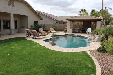Backyard2