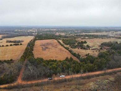Bird's eye view featuring a rural view