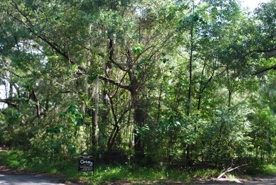 134 Dodge Rd, Saint Simons Island, GA 31522 - photo 3