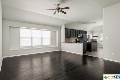 119 Fence Line Dr, San Marcos, TX 78666 - photo 4