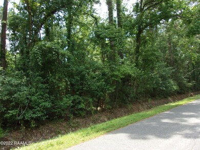 0 E Villien Ave unit 22006040, Abbeville, LA 70510 - photo 3