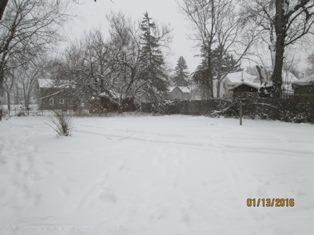 IMG_0920