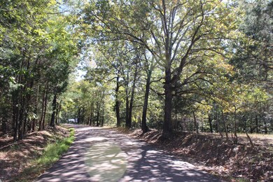 48 County Road 329, Oxford, MS 38655 - photo 5