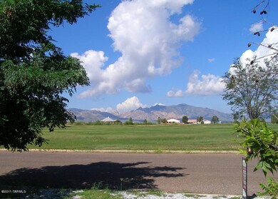 View West