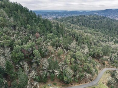 474 View Top Dr, Grants Pass, OR 97527 - photo 2