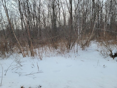 off N Weirgor Rd unit 5 Acres, Exeland, WI 54835 - photo 3