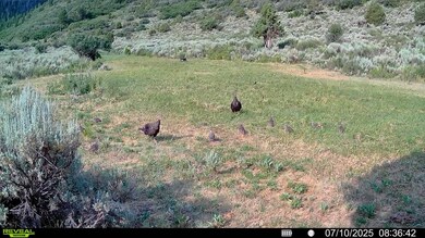 0 Tbd Highway 13 S, Meeker, CO 81641 - photo 4