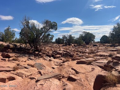 000 Old Woodruff Rd, Snowflake, AZ 85937 - photo 4