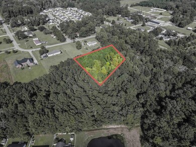 00 West Rd, Conway, SC 29527 - photo 6