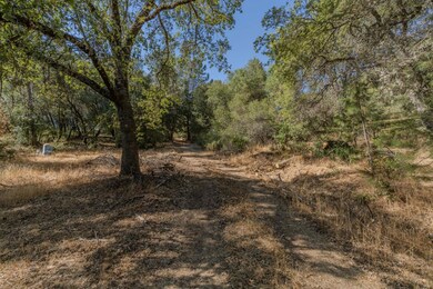 18871 Ponderosa Annex Rd, Sutter Creek, CA 95685 - photo 5