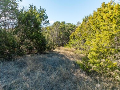 33040 Woodcrest & Stonedale Dr, Whitney, TX 76692 - photo 5