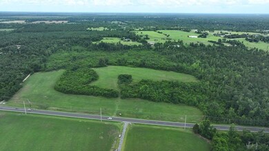 3130 Hwy 71 unit LotWP001, Marianna, FL 32446 - photo 4