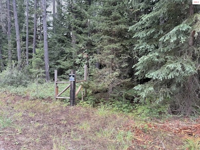 158 Dubius Creek Rd, Priest River, ID 83856 - photo 6