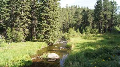 Fly fishing creek with Brook trout