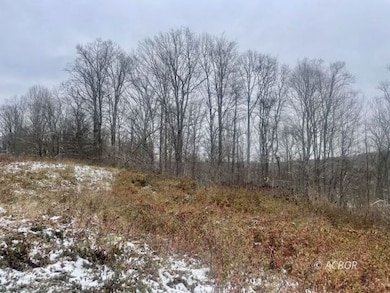 0 Mountain Bell Rd unit 2434302, Coolville, OH 45723 - photo 7