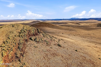 000 Tbd --, Greer, AZ 85927 - photo 6