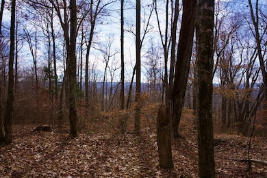 323A White Oak Flatt Rd, Sparta, TN 38583 - photo 6