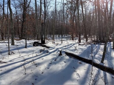 0 Lee Rd unit 1515415, Webster, WI 54893 - photo 4