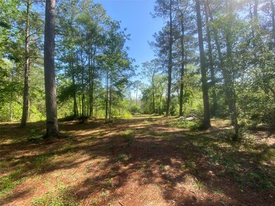 10705 Fm 1409 East Side, Dayton, TX 77535 - photo 2