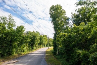 Lot 2 State Highway 163, Calhoun, TN 37308 - photo 6