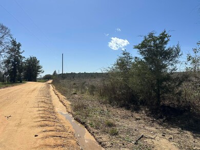 Tract#6410 Davidson Road S - W5 unit 286 +/- AC, Bonifay, FL 32425 - photo 7