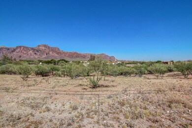 0005-Muleshoe (5)