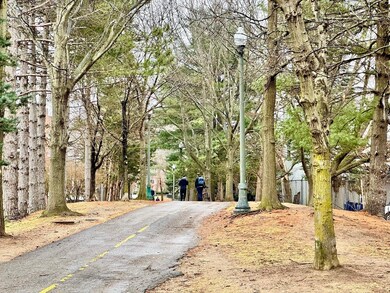 105 Harvey St unit 105, Cambridge, MA 02140 - photo 3