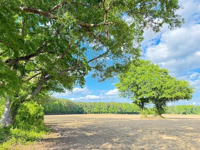 0 Tbd Sandhill Rd unit LotWP002 23456478, Marion, SC 29571 - photo 2