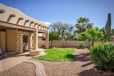 Fantastic back yard