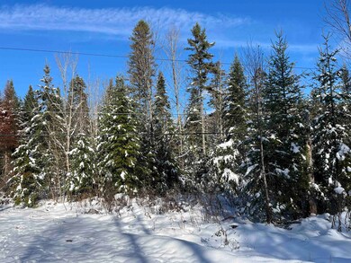 0 Shadow Lake Rd unit 5070680, Glover, VT 05839 - photo 5