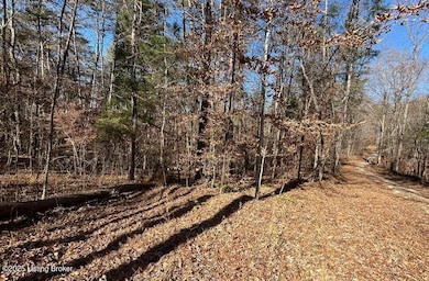 L32 Ted Logsdon Rd, Clarkson, KY 42726 - photo 3