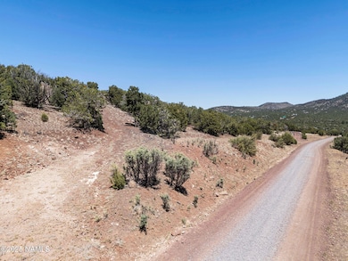 1330 Painted Pony Ln, Williams, AZ 86046 - photo 3