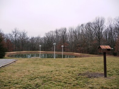 pond 1
