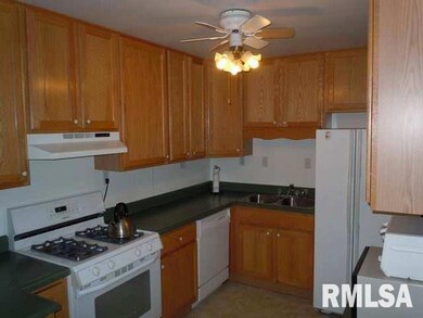 1101 Keokuk St, Lincoln, IL 62656 - photo 4