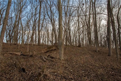 705 NE Noeleen Ln, Lee's Summit, MO 64086 - photo 7