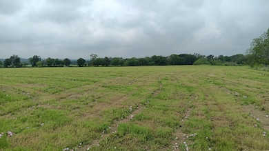 0 Tbd Hwy 7 unit 25520103, Chilton, TX 76632 - photo 5