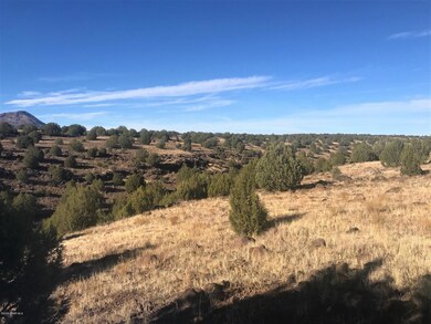 21 N Un Named Rd, Ash Fork, AZ 86320 - photo 7