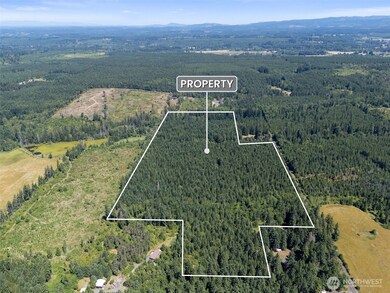 0 Kiser Rd unit 24178603, Ethel, WA 98542 - photo 7