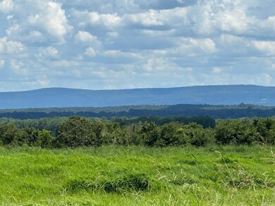 TBD River Rd, Coal Hill, AR 72832 - photo 2